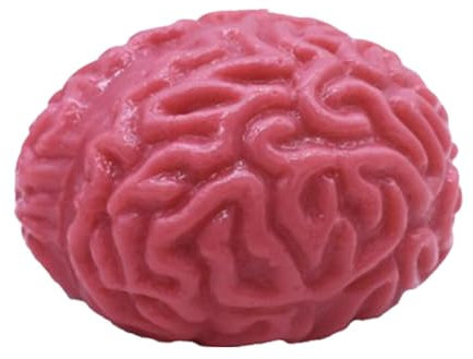 Gehirnball zum Drücken, Anti-Stress-Bälle, zerebraler Anti-Stress-Bälle, Spielzeug zum Drücken des menschlichen Gehirns, Handübung, realistische Orgel, Blutiges und gruseliges Quetschspielzeug