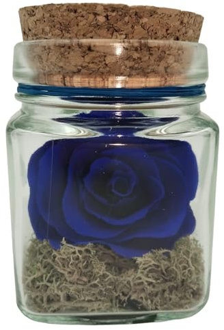 Genérico Rosa eterna Azul. Mini. Cubo de Vidrio. Rosa preservada Azul Natural Eterna. Rosa eterna Azul. Flores preservadas.