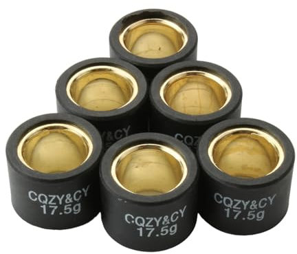 Poids de galets de variateur Sh300 Forza300 23 x 18 mm 17,5 g for scooter Honda Pantheon 125 150 Foresight 250 Jazz 250 Sh Forza 300 cc accessories