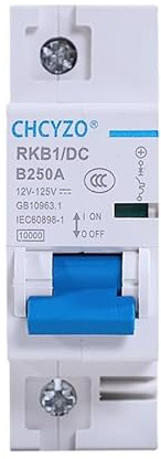 Interruttore Differenziale, Magnetotermico DC 1p Interruttore Di Protezione 12-125v Mini Automatico Auto Elettrica 80A/100A/125A/200A/250A Della Batteria(250A)