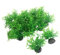 Smoothedo-Pets Aquarium Plants Fish Tank Decorations 20pcs Small Size/1inch Tall Plastic Artificial Plant Goldfish Waterscape Fish Hides Mini Grass Set (Green-A)