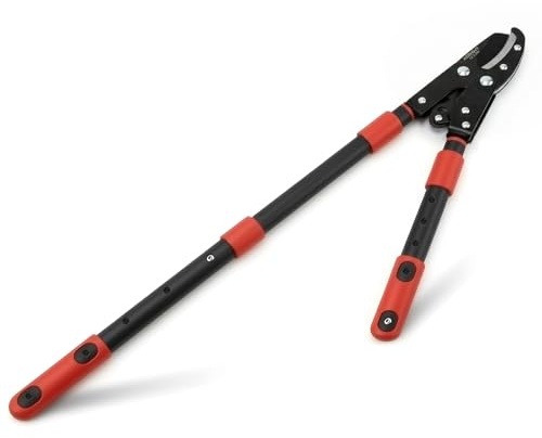 AGRICUT Telescopic Garden Loppers Anvil - Extendable Tree Trimmer 26 to 40.5 Reach, 2 Cut Capacity Heavy Duty Branch Cutter with 59HRC High Carbon Steel Teflon Blade, Loppers for Cutting Branches
