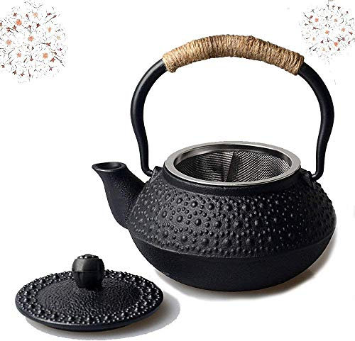 HwaGui - Mini Cast Iron Teapot with Infuser Small Tetsubin Black Tea Pot for One Set 300ml/10oz, 2 Cups of Tea
