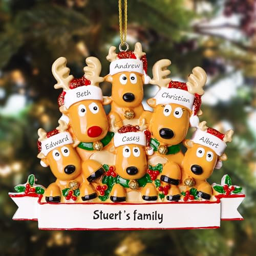 witfox Personalisierte Weihnachtsanhänger mit 2/3/4/5/6/7/8 Familiennamen - 2024 Kunstharz-Weihnachtsbaumschmuck Personalisierte Weihnachtskugeln Familie, Partner und Freunde6