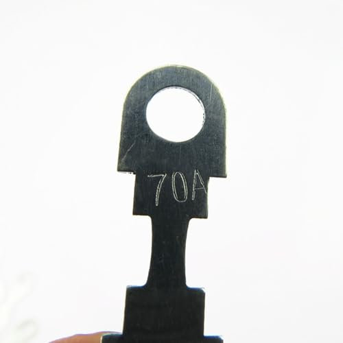 20A 30A 40A 50A 60A 70A 80A 100A 110A 150A Flachstück Gabelstift Batterie Sicherung for Auto (Color : 70A-10PCS)