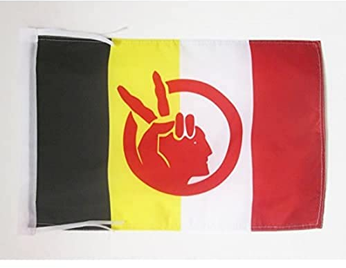 AZ FLAG - Flagge American Indian Movement - 45x30 cm Mit Kordel - Aim Fahne 30 x 45 Cm - Flaggen