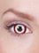 Maskworld - Mini-Sclera Vampir - farbige Kontaktlinsen / 6-Monats-Linsen (17mm) - Motivlinsen ohne Sehstärke - Unisex - Erwachsene - ideal für Halloween, Karneval, Motto- und Horror-Party
