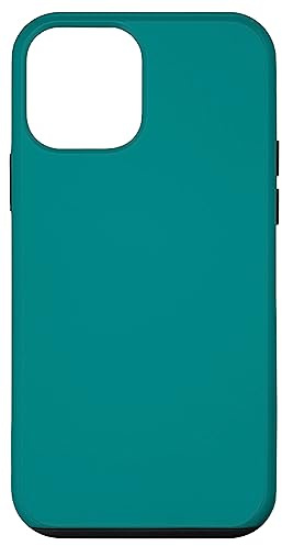Teal Case for iPhone 12 mini