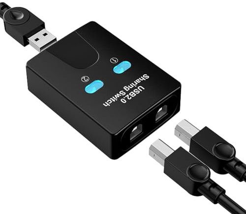 Usb Splitter Swiitch, Usb Share Swiitch, Dispositivi di condivisione USB, Condivisione Usb Condivisione Swiitch Box, Condivisore USB a 2 porte, Comodo e pratico Kvm Swiitches Usb Printer Sharing
