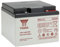 Yuasa NP24-12 12V Lead Acid Battery, UPS Backup Alarm and Emergency Battery (Pack of 1)