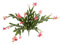 Flair Flower Künstlicher Kaktus mit Blüten Blühender Weihnachtskaktus Kaktusse Kakteen Zimmerpflanze mit roter Blüte Seidenblumen Grünpflanze Stachelige Flache Kunstpflanzen Pflanze Blume Kunstkaktus