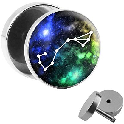 Treuheld® | Fake Plug Sternzeichen/Sternbild Skorpion - Ø 10mm Bild Ohrstecker mit Motiv zum Schrauben - Chirurgenstahl Ohr Faketunnel Silber - Tunnel Ohrringe Ohrring Stahl Fakeplug