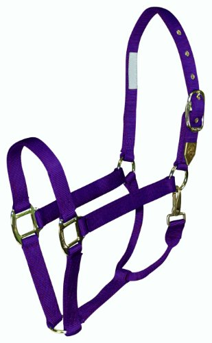 Hamilton Pferdehalfter, 2,5 cm, Nylon, mit Druckknopf am Hals