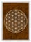 Die Blume des Lebens - Flower of Life - Wandbild Feng Shui Energiebild Kunstdruck Chakren Bild (Braun)