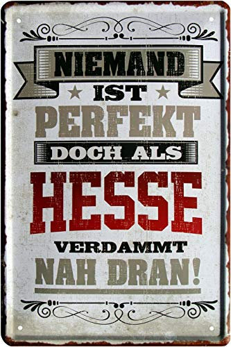 Niemand ist perfekt, doch als Hesse 20x30 cm Blechschild 2136