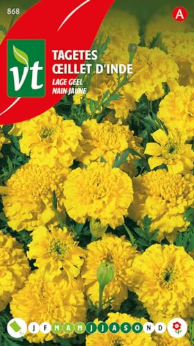 Caléndula francesa, amarilla baja - semillas de flores
