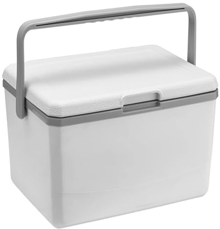 5L Drink Ice Insulated Cooler Cool Bag Portable Box With Handle Mini Freezer Fridge Car Refrigerator Picnic(White)