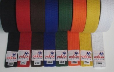 Orkansports Budogürtel einfarbig