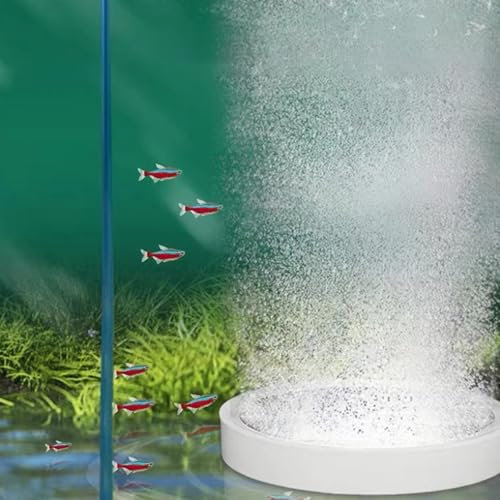Nano Bubble Air Stone Disc, Aquarium Luftstein Disc Sauerstoff Stein Auströmer Aquarium Bubble Disk Aquarium Diffusor für Gelösten Sauerstoff Luftstein Diffusor für Aquarium Fisch Tank Teiche (100mm)