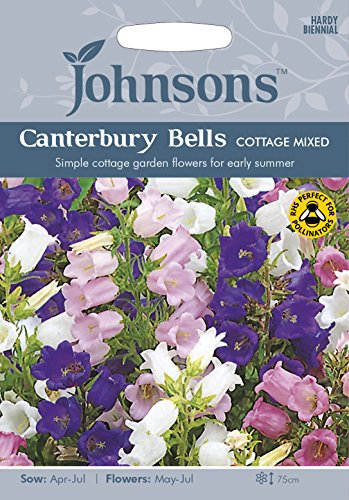 Johnsons 20621 Flower Seeds, Canterbury Bells Cottage Mixed