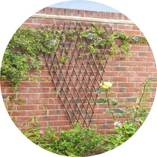 Fan Trellis for Climbing Plants 1.8m High – Natural Willow Fan Shaped Trellis for Garden Walls and Fences – Garden Trellis Fan Shaped for Vertical Plant Growth