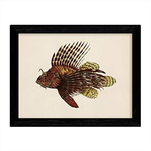 Nacnic Blatt gelb braun Fisch in der Größe A3 Poster Papier Hintergrund Vintage-Papier 250 gr hohe Qualität. Frameless