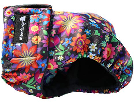 Glenndarcy No Tailhole Dog Season Nappy - French Bulldog - (Medium & 2 Washable Pads, Daisy)