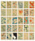 HOSTEESSCHOICE Vintage Art Postkarten Set mit 30 Postkarten des japanischen Künstlers Korin Furuya Art Sea Variation Pack Berühmte Malerei Landschaft 10,2 x 15,2 cm