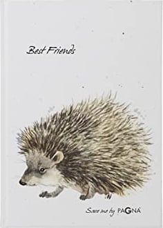 Pagna 20367-15 Freundebuch Igel 60S