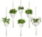 koitoy Macrame Plant Hanger, 5 Pack White Indoor/Outdoor Hanging Planter, 80cm, 100cm, 140cm Two-Tier Design, Durable Cotton Rope