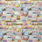 Dekostoff Digitaldruck Festival Patchwork Flamingo Kaktus 1,40m