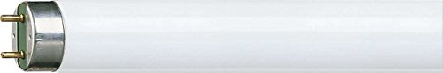 Philips Master TL-D HF Super 80 32 W G13 A + Cool White Fluorescent Bulb – Fluorescent Bulbs (32 W, Tube, T8, G13, 3200 lm, Cool White)
