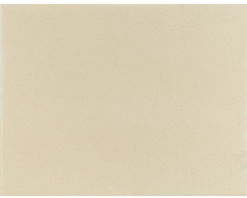 ZANUSSI 50287782002 Dunstabzugshaubenzubehör / Filter