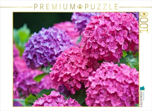 CALVENDO Puzzle Gartenhortensie (Hydrangea macrophylla) | 1000 Teile Lege-Größe 64 x 48 cm Foto-Puzzle für glückliche Stunden