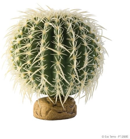 Exoterra Décoration Cactus Oursin pour Reptiles et Amphibiens