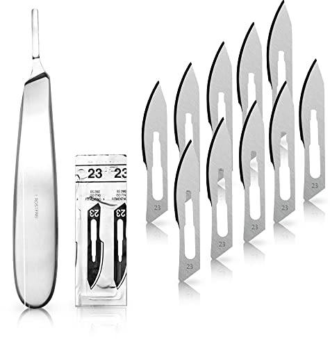 Lot de 10 lames de scalpel figurine 23 en acier carbone - Lames de rechange emballées individuellement stériles + 1 May - Support scalpel manche bombé - Acier inoxydable