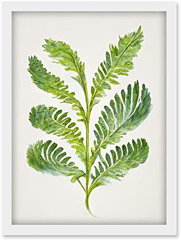 Doppelganger33 LTD Royal Fern Leaf Modern Watercolour Botanical Artwork Framed Wall Art Print A4