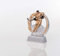 eberin · Eishockey-Pokal, Resinfigur Eishockey, Silber und Bronze, mit Wunschtext, Größe 12,5 cm