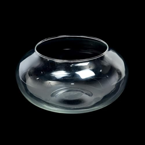 Decor Space Vaso trasparente in vetro per fiori e piante, decorazione da interno ed esterno, 18 x h 8 cm