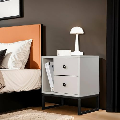 Dmora Nachttisch Predazzo 45,2x29,5x50h cm Grau 2 Schubladen, 1 Regal