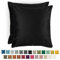 Blumtal 2er Set Kissenbezug 50x50 cm Schwarz - dekorativer Samt Kissenbezug mit verstecktem Reißverschluss, Kissenhülle für Zierkissen Deko-Kissen Polster Sofakissen & Couchkissen, waschbar