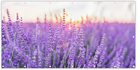 MuchoWow® Balkon Sichtschutz Sichtschutzmatte Balkonbanner Abdeckung für Terrasse Balkon Windschutz Blickdicht Wetterfest 200x90 cm Lavendel - Nahaufnahme - Lila - Blumen