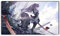 Neue Mlikemat Spielmatte Himmel Striker Ace - Raye & Roze TCG CCG OCG Sammelkartenspielmatte mit Zonen + Gratis Tasche (ZD014-366-A)