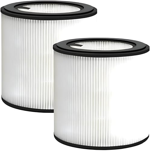 2x HEPA-Filter passend für Philips FY0194 AC0819, AC0820