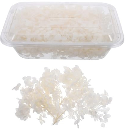 ABOOFAN 1Packung Getrocknete Hortensienblütenblätter für DIY-Dekorationen Natürliche Gepresste Blumen für Hochzeiten und Bastelarbeiten Geeignet für Nagelkunst und Kreative Projekte Weiß