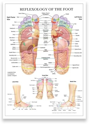 KUBAPIG Fußreflexzonenmassage, Akupunkt-Diagramm, Anatomie, Kunst, Leinwand, Gemälde, gedrucktes Poster, Heimdekoration, medizinische Ausbildung, Wandbilder (40 x 60 cm, ungerahmt)