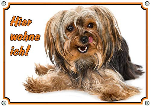 Petsigns wunderschönes Hundeschild Yorkshire Terrier - Warnschild - Hier wohne ich -, DIN A5