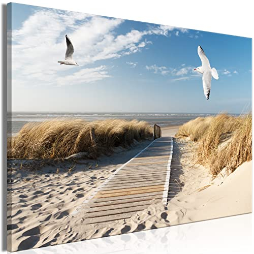 murando - Akustikbild Landschaft Bilder Akustikschaum Hochleistungsschallabsorber Schallschutz Leinwand 1 tlg Wandbild Raumakustik Schalldämmung Strand Meer Vögel Möwen c-C-10027-b-a