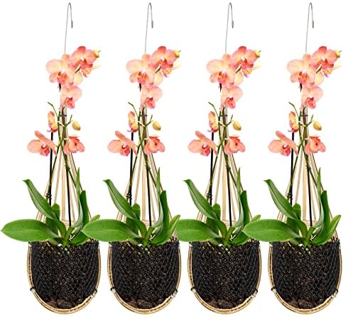Yookeer Orchideen-Pflanzgefäß, thailändischer Bambus, gewebt, 10,2 cm, hängender Orchideenkorb mit Metallhaken, Vogelnest, Pflanzenaufhänger für Rankgitter oder Pavillon, für drinnen und draußen,