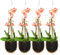 Yookeer Orchideen-Pflanzgefäß, thailändischer Bambus, gewebt, 10,2 cm, hängender Orchideenkorb mit Metallhaken, Vogelnest, Pflanzenaufhänger für Rankgitter oder Pavillon, für drinnen und draußen,